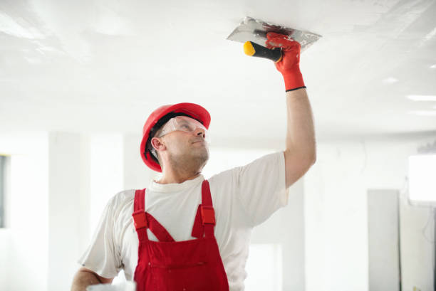 Trusted Belle Rose, LA Painting & Drywall Services Experts